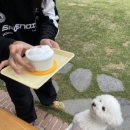 하울픽스 네이버블로그