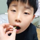 육회왕자연어공주부산 이미지