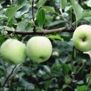 옥정농장 이미지