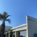 별님과바다 | 울산 바다 뷰 카페 호피폴라 솔직후기