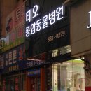 테오종합동물병원 이미지