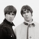 오아시스(OASIS) 이미지
