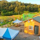 바다와노을 이미지