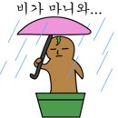 빅토리파크 이미지