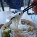 국수바라기 이미지
