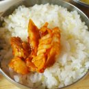 명태랑진땡이 이미지