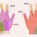 경희대원한의원 이미지