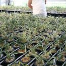 고창농장 이미지