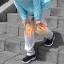 한그루바이오 이미지