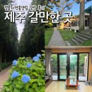 제주 절물자연휴양림 숲속의 집 숙박 후기 제주도 가을 갈만한 곳 추천
