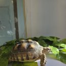 해피주 수원점 이미지