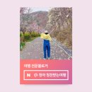 [공지] 2025년 4월 여행 인플루언서 선정 팁 무심사 극복 후기
