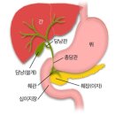 365연합의원 이미지