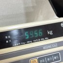 11650-5-57-14 | 66kg → 57kg｜-9kg 감량한 운동선수의 현실 다이어트 후기 (비포애프터)