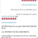삼비 이미지