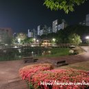 봄꽃동물약국 | 청주 근교 산책 진천 두레봉공원 대화공원에서 이어 걷기 좋은 길