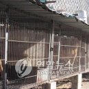 이상오농장 연합뉴스