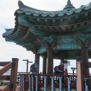 서포리 해수욕장 Daum카페