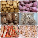 안터목장 이미지