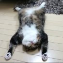 마루영상 이미지