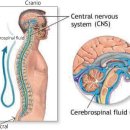 사당정형외과의원 이미지
