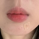 피즈기획 | [가을딥 웜톤 추천] 다이소 립글로스 입큰 퍼스널톤 듀오 피즈 코랄 솔직 후기