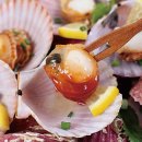 청춘유통 이미지