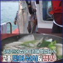 경창3호 | 백솔라 고흥 민어 선상낚시와 외나로도 염포항 노지캠핑 후기