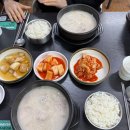 행복돼지국밥 | 내돈내산 청주 내덕동 돼지국밥 찐맛집 행복돼지국밥