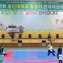 용인대엘리트태권도 이미지