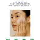 덤 대리점