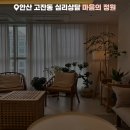 마음의집 | 안산 고잔동 심리상담 마음의 정원 상담 솔직 후기