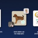 멍데렐라 이미지