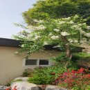 행주산성로 이미지