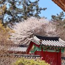 자산동128 이미지