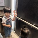 연제구육아종합지원센터 | 부산 연제구육아종합지원센터 완전 정복! 무료 키즈카페 &amp; 놀이터 이용 꿀팁 🧸🎉