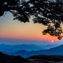 (사)사랑의손길새소망 | 불굴의 소망을 주시는 성령님 4월 8일 수요 예배 한상인 목사