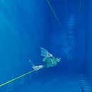 (주)웨이트포유 | 프리다이빙 레벨2 과정, 몰차노브 Wave1 후기 ㅣ프리다이브 블랙쉽