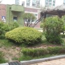서울등원초등학교 이미지