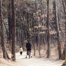 노작 홍사용 묘역 이미지