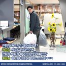 미라크리닝 이미지