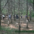 아미산숲센터 이미지