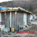 구길리 이미지