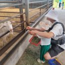 호동목장 이미지