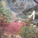 운림중학교 이미지