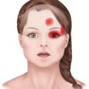 (주)제니스그룹 이미지