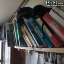 피터팬하우스 이미지