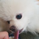 비:밀