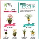 김플라워 - 군산시 의료원로 141 | 김플라워