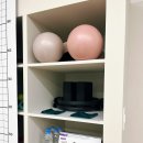 원핏 필라테스&PT | 오목교필라테스 추천｜체육학과 원장 직강, 목동 온리원핏 필라테스 추천